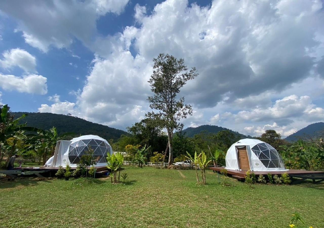 Cosy Garden Khao Sok 호텔 Khao Sok National Park 외부 사진