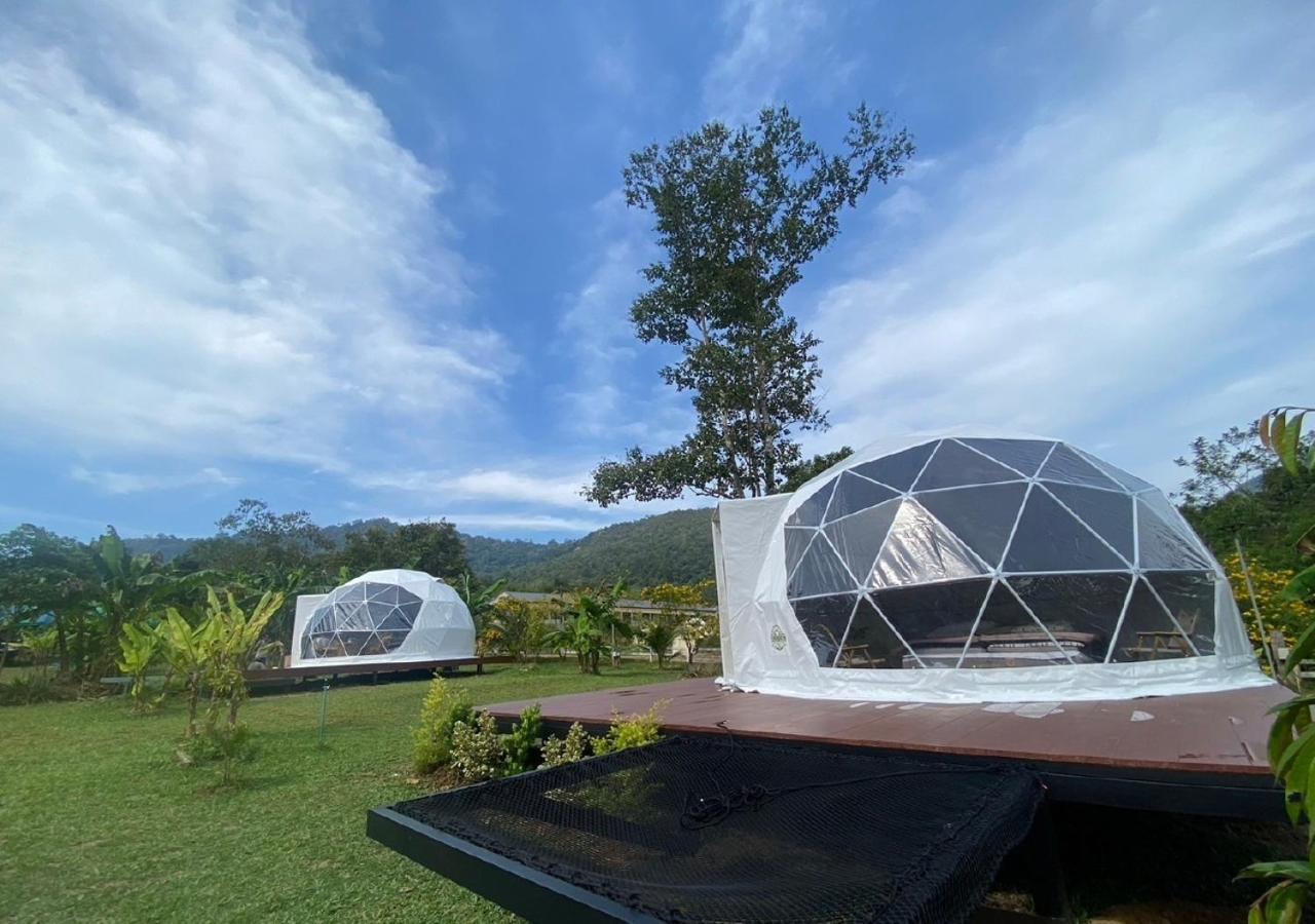 Cosy Garden Khao Sok 호텔 Khao Sok National Park 외부 사진