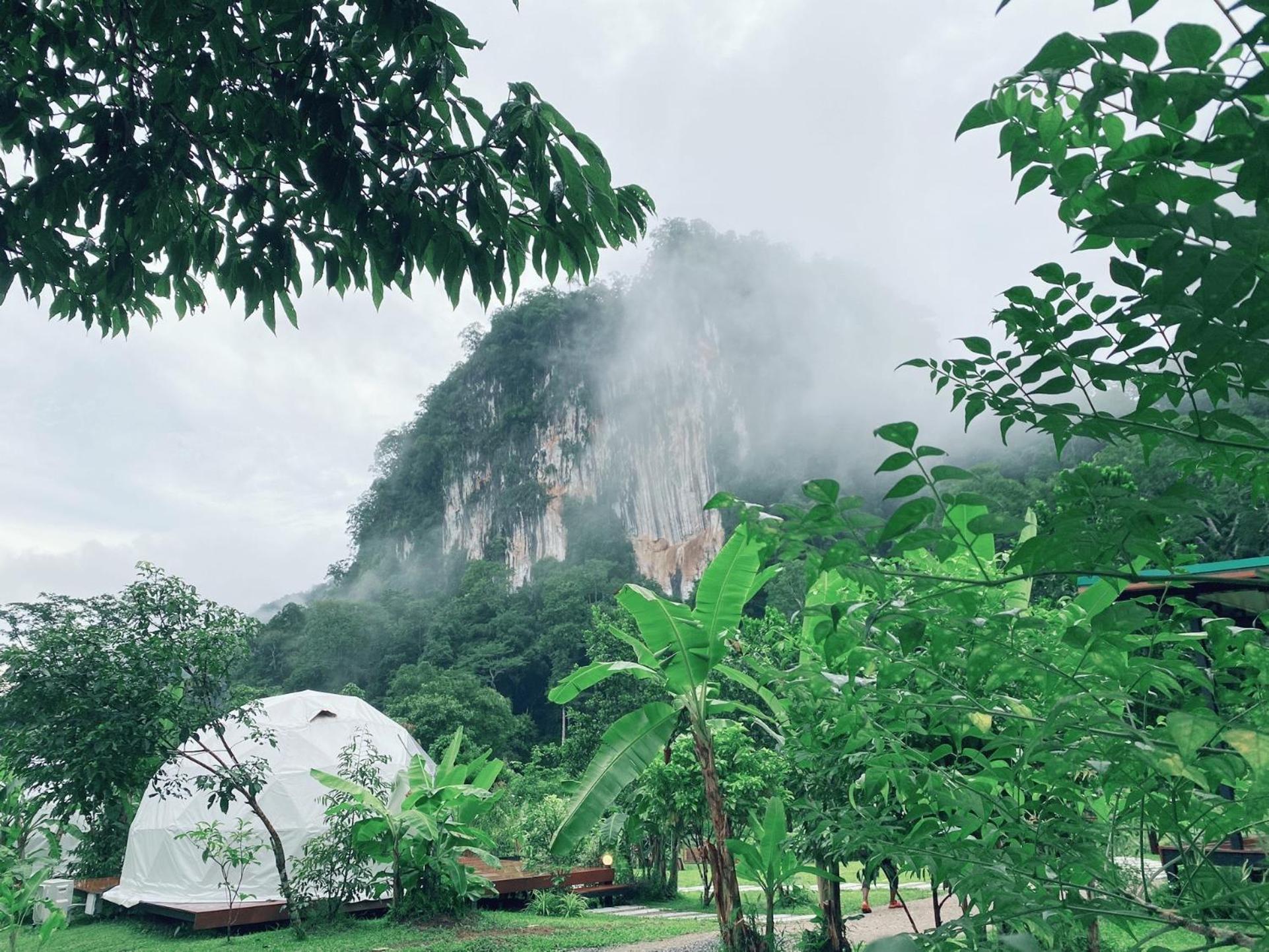 Cosy Garden Khao Sok 호텔 Khao Sok National Park 외부 사진